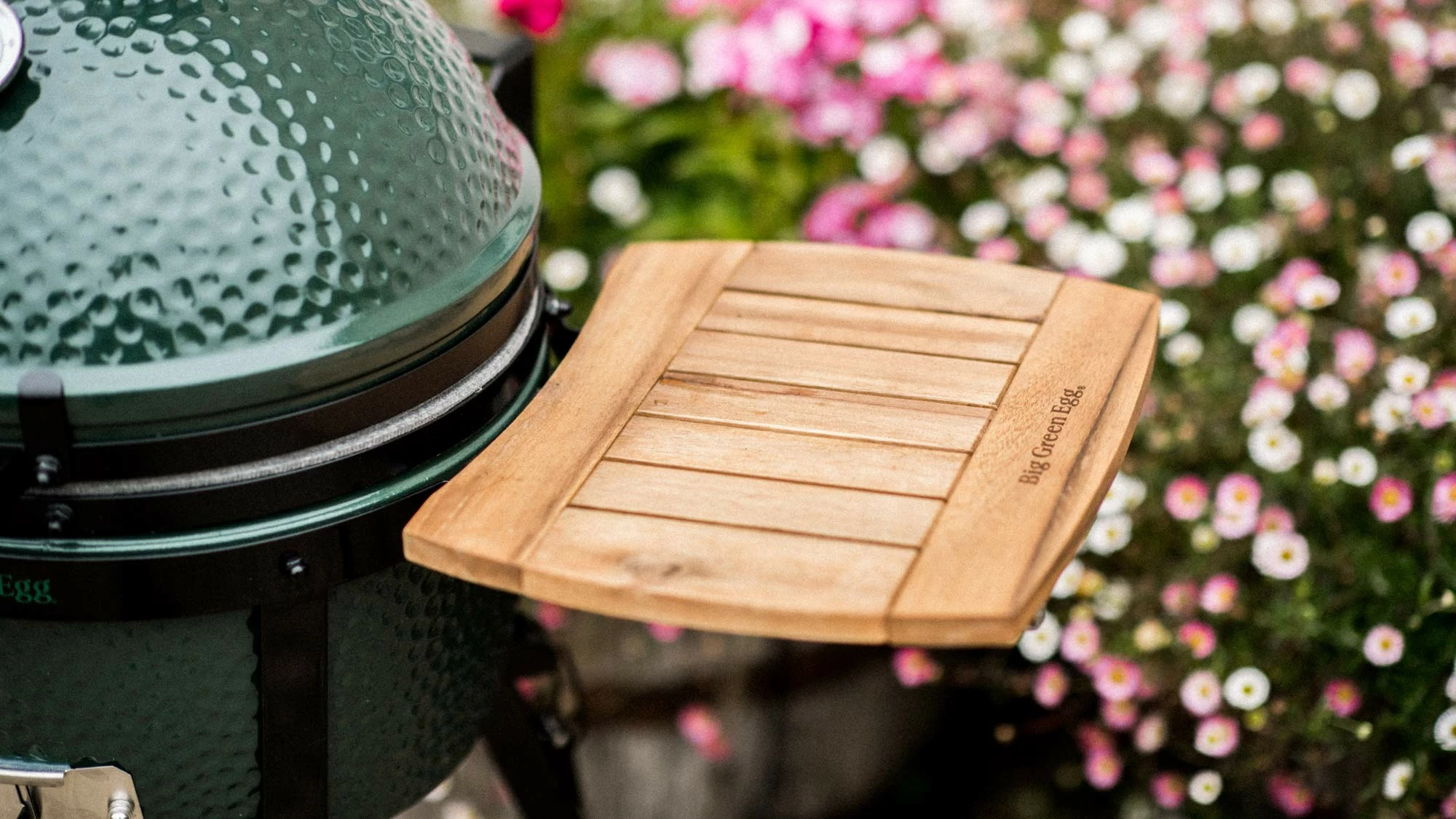 Acacia Shelves 5 Acacia Shelves - Image 3