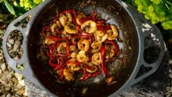 Solidteknics Iron Wok 11 Solidteknics Iron Wok -Charbroil Shop 1653316681 solidteknics wok 8