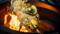 Rotisserie -Charbroil Shop 1667914176 turkey rotisserie 20