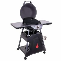 All-Star 125 S-Electric -Charbroil Shop 91db68af011f8601551ea63abaa8259a 19659160A1